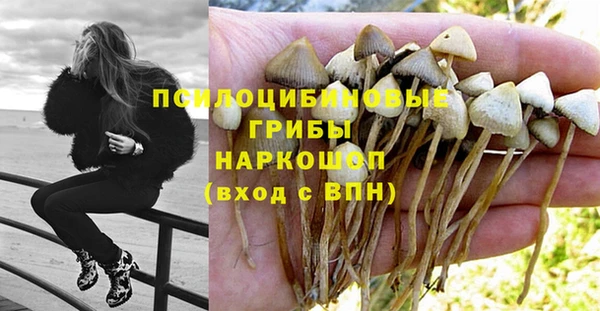 кокаин Алексеевка