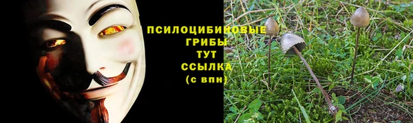 мескалин Абаза