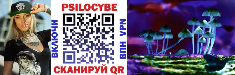 Галлюциногенные грибы Cubensis  хочу наркоту  Ессентукская 